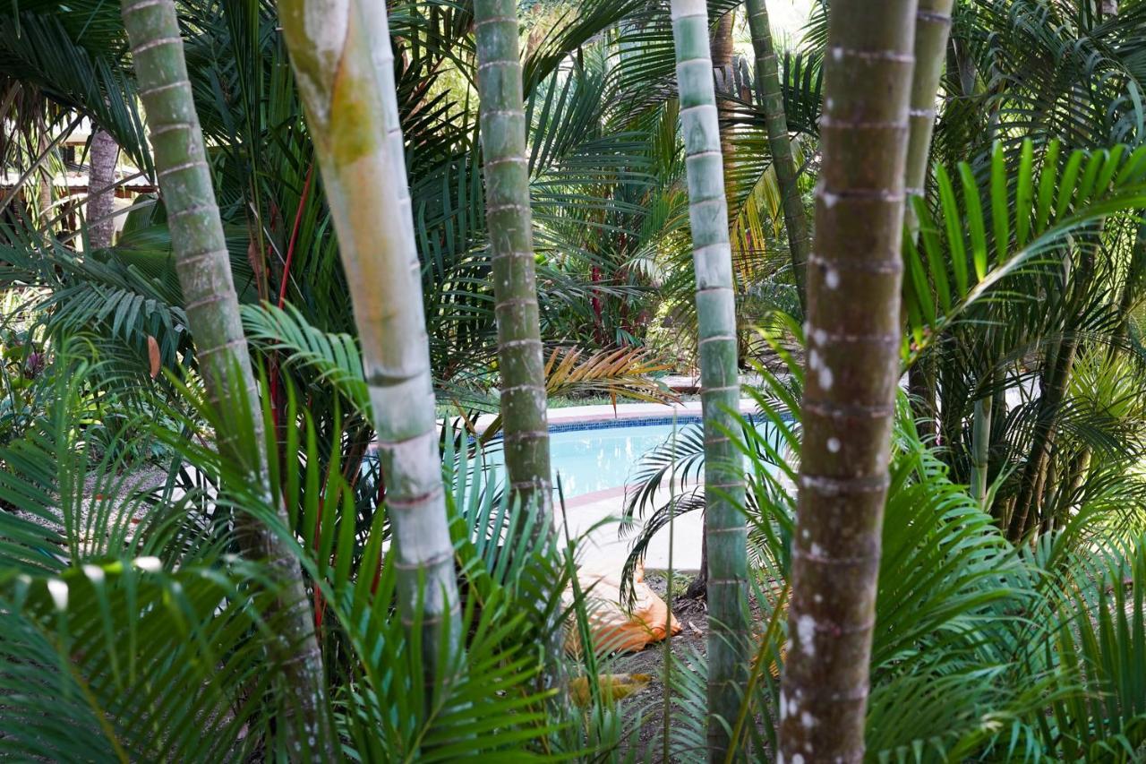 Hotel Luz De Luna Playa Santa Teresa  Ngoại thất bức ảnh