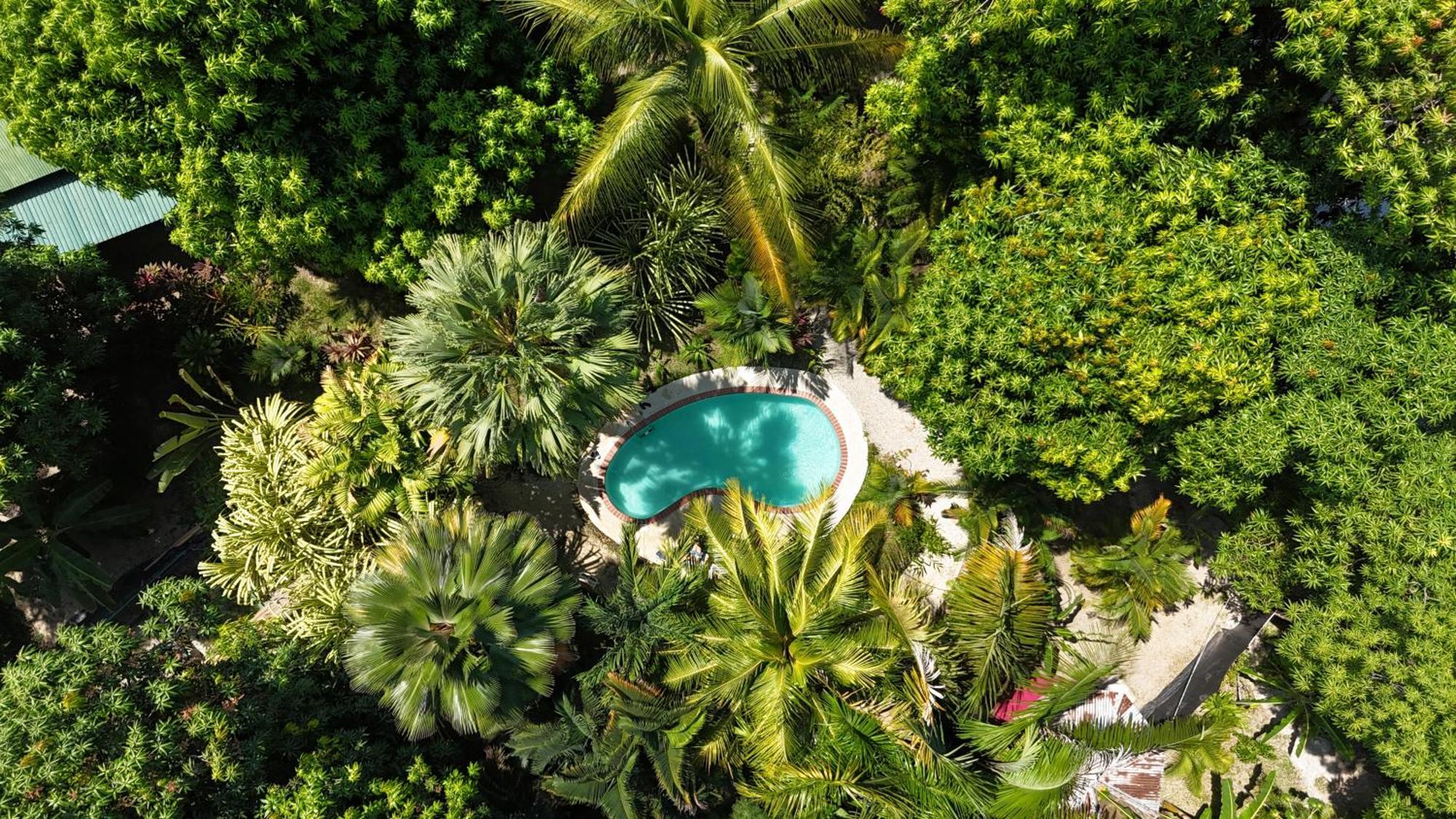 Hotel Luz De Luna Playa Santa Teresa  Ngoại thất bức ảnh